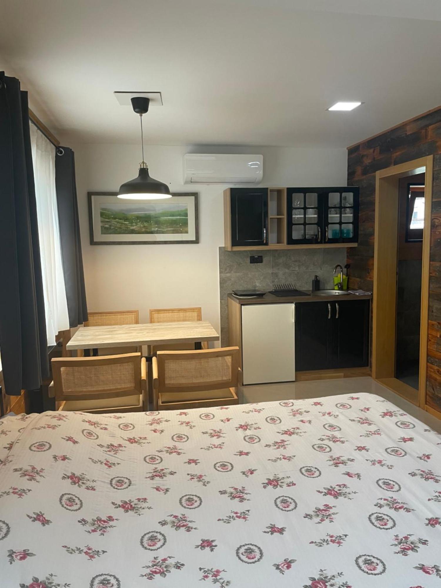 Alexandar Studio Apartman Mokra Gora Ngoại thất bức ảnh