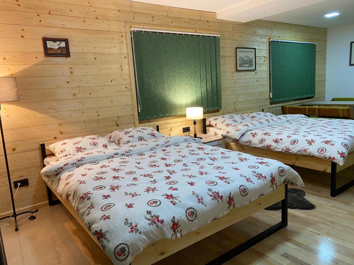 Alexandar Studio Apartman Mokra Gora Ngoại thất bức ảnh