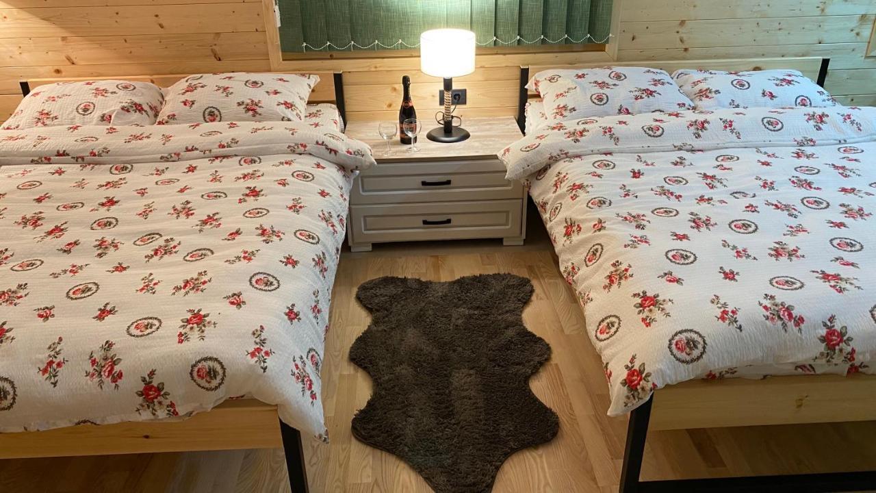 Alexandar Studio Apartman Mokra Gora Ngoại thất bức ảnh